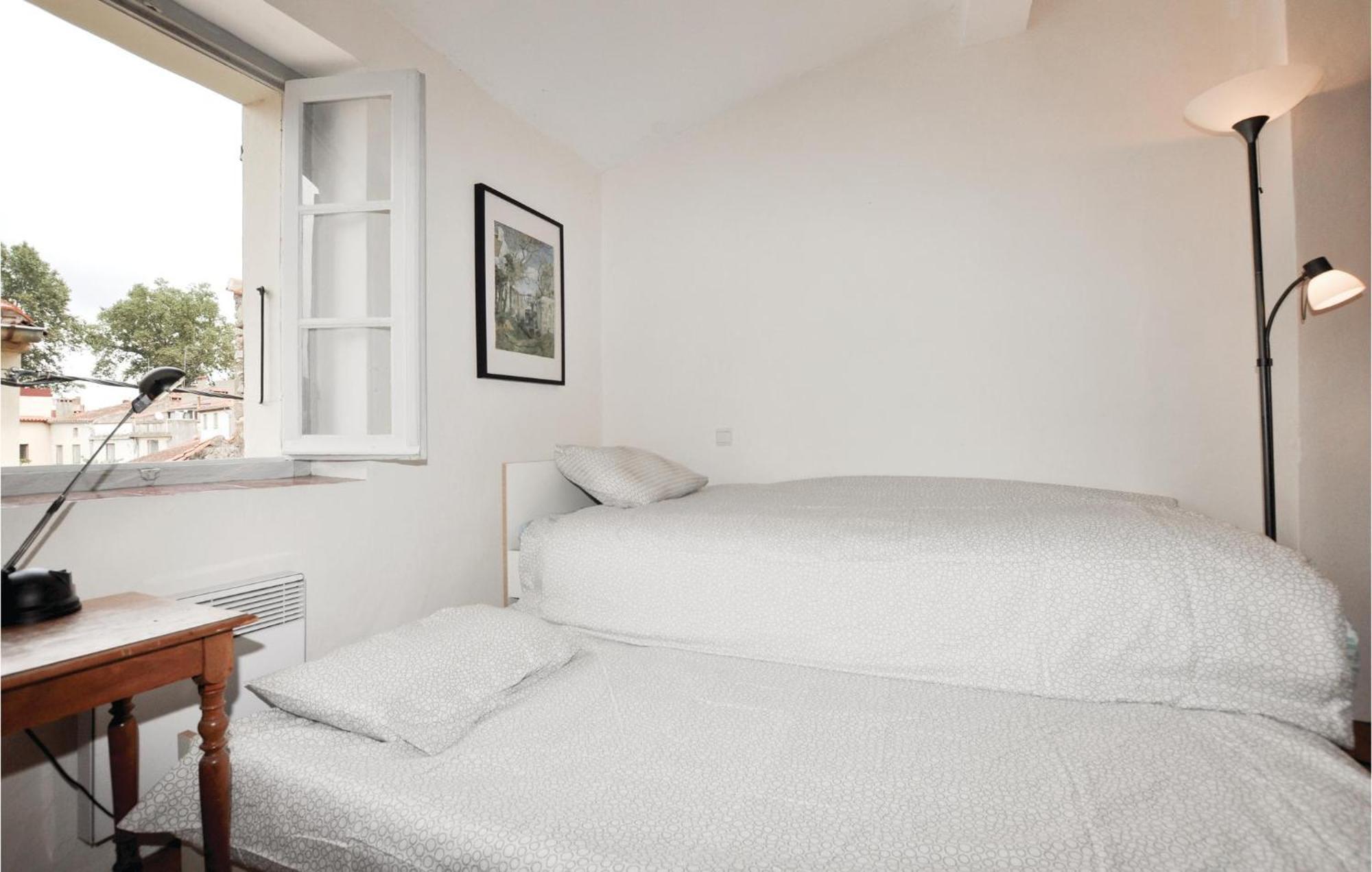 Amazing Home In Ceret With Wifi Extérieur photo