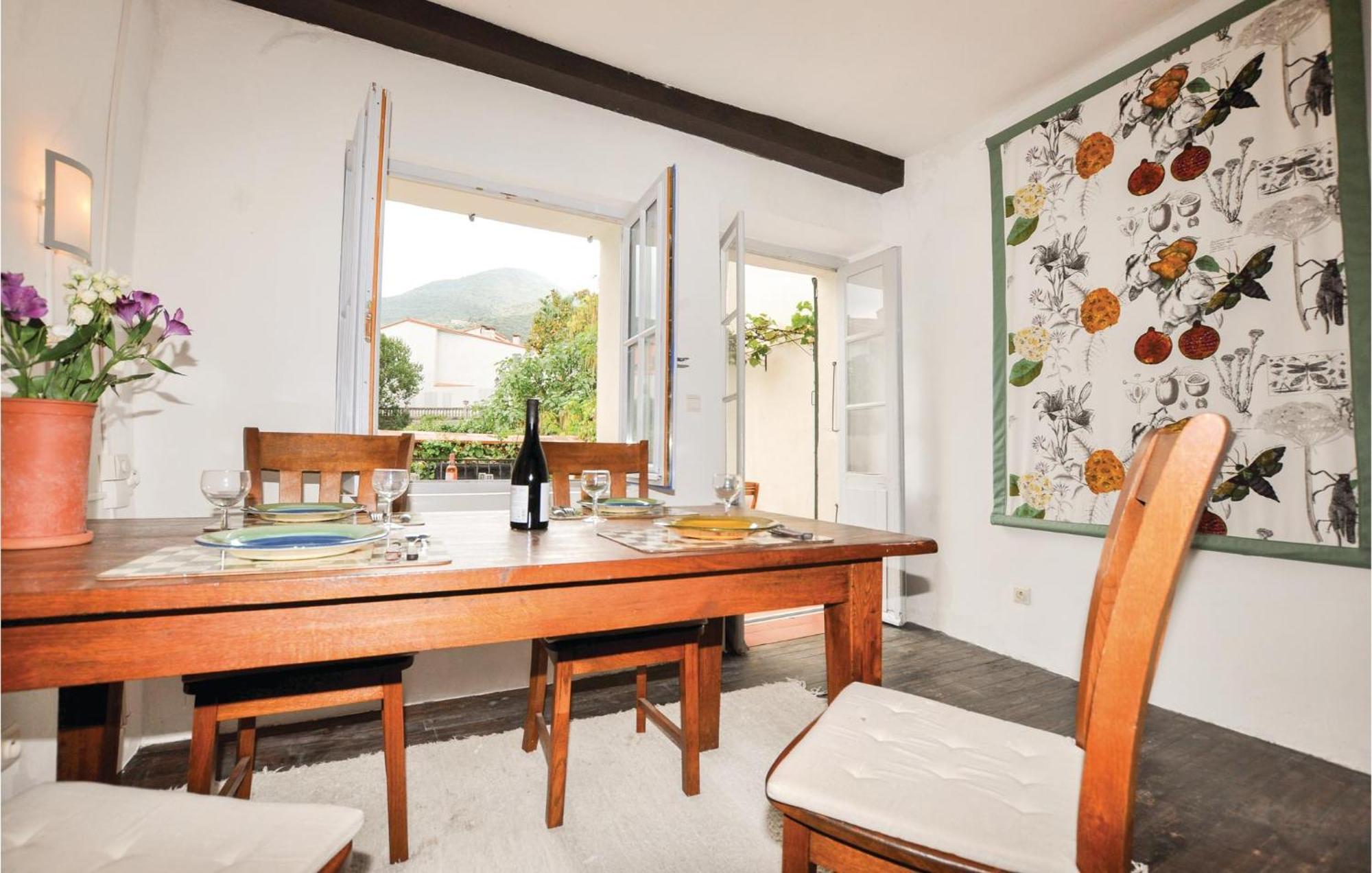 Amazing Home In Ceret With Wifi Extérieur photo